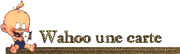 wahoounecarte.gif